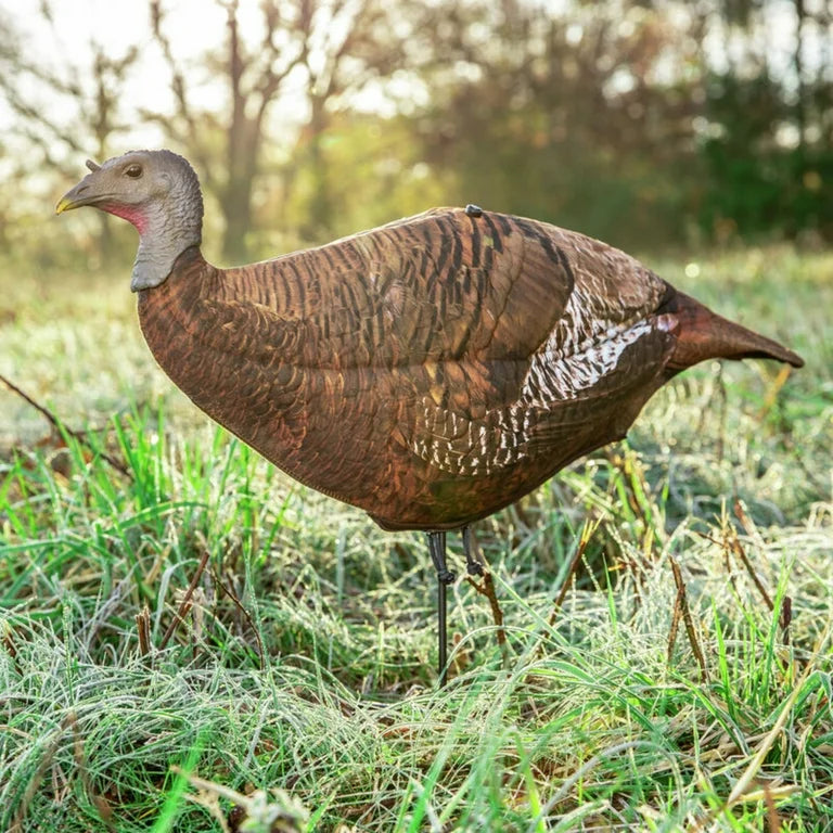 Primos Photoform Turkey Decoy - Photoform Leading Hen