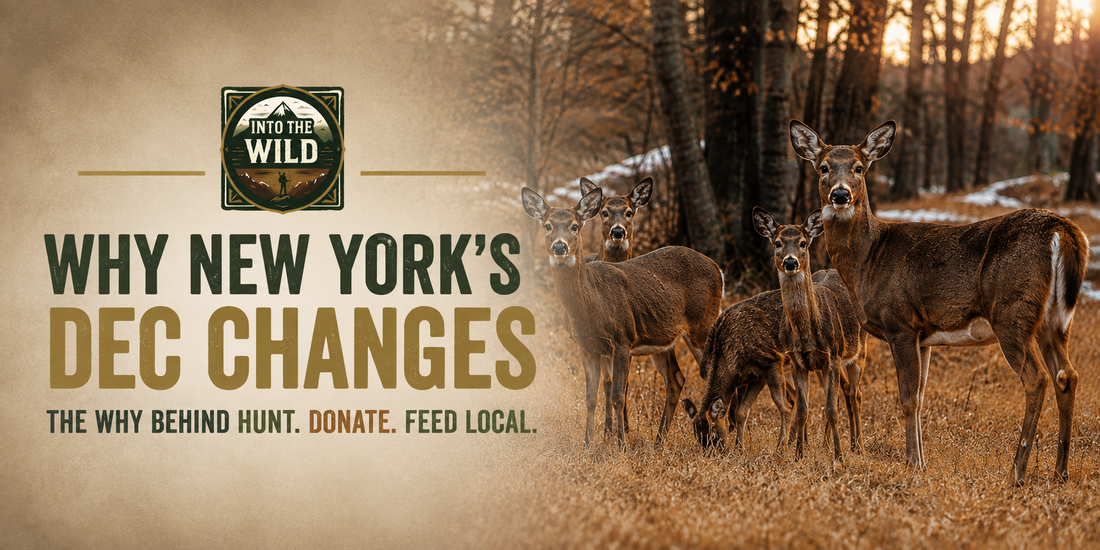Why We Built Hunt. Donate. Feed Local.