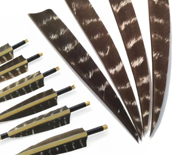 Feathers