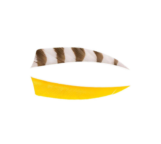 Trueflight 4" Shield Back Feathers (18 Count Combo Pack)