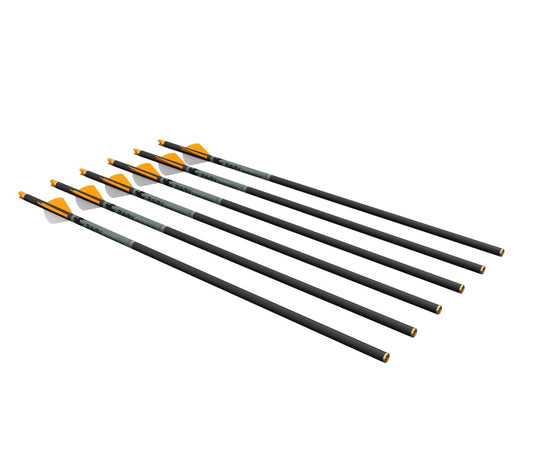 Ravin R500 Carbon Arrows 6 Pack