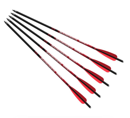 HEADHUNTER™ 20" ARROW - 5 PACK