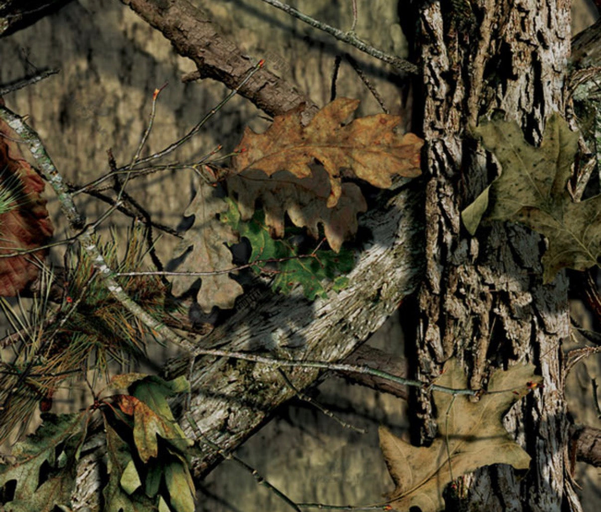 Bowtech Whitetail Quiver