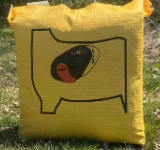 Big Shot Ballistic 450X Bag Target