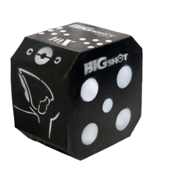 Big Shot Titan 10X Archery Target
