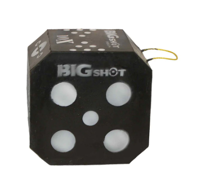 Big Shot Titan 10X Archery Target