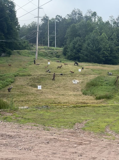 3D Archery Practice Range Sponsor
